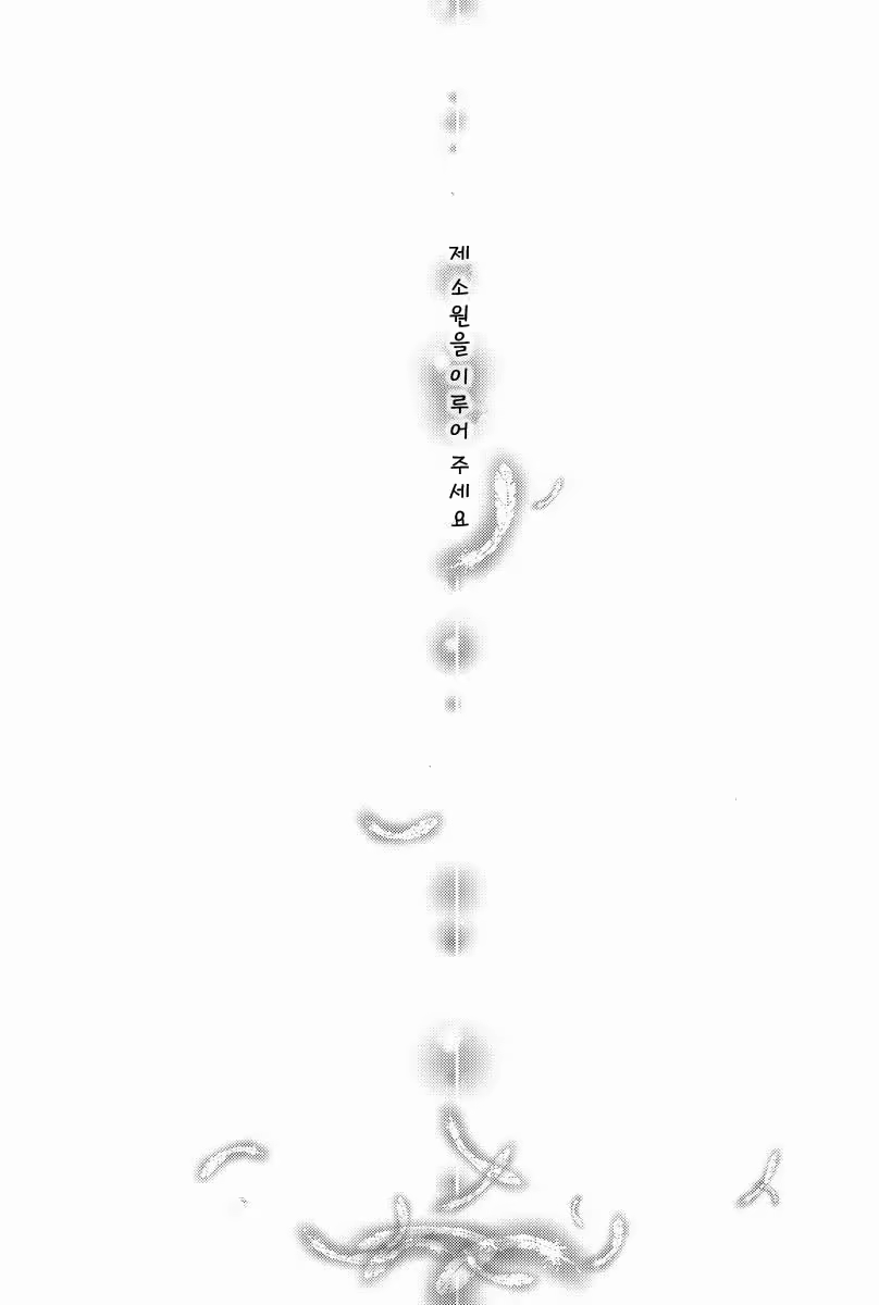 Content 638168 - 19 페이지