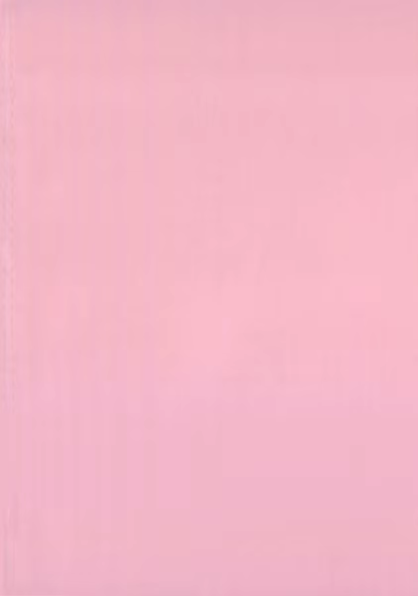 Content 640188 - 4 페이지