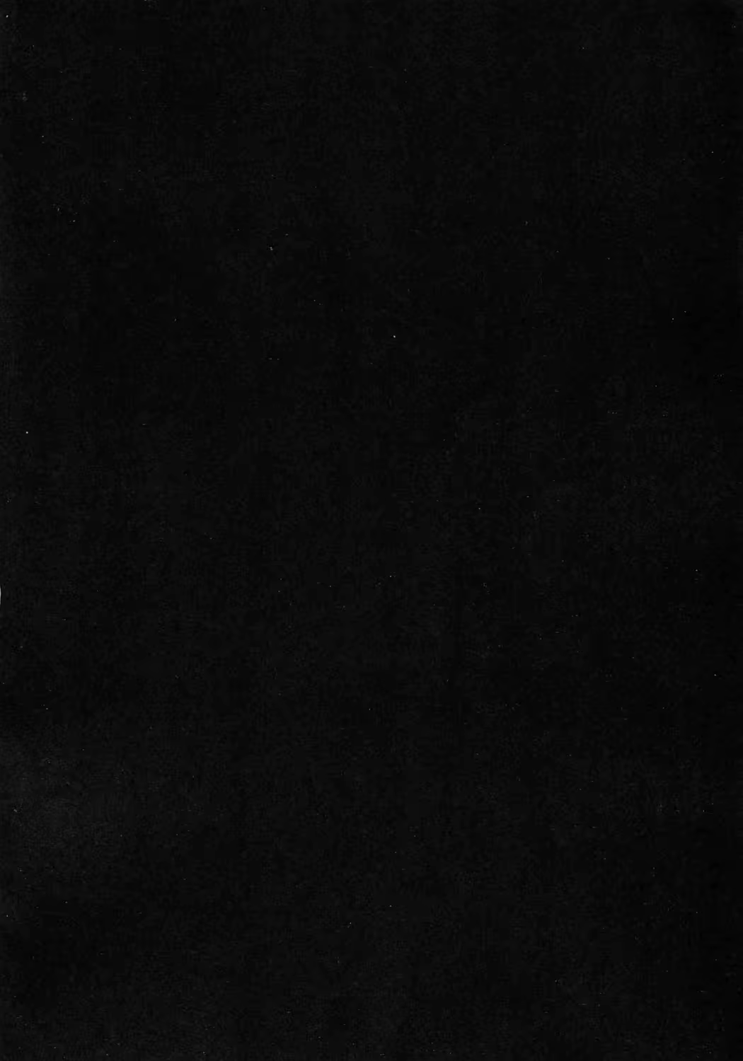 Content 641981 - 3 페이지
