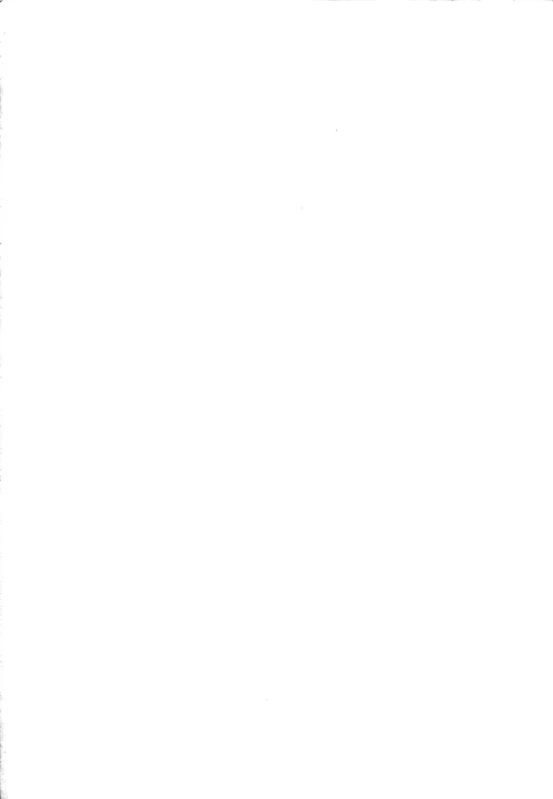 Content 647253 - 2 페이지