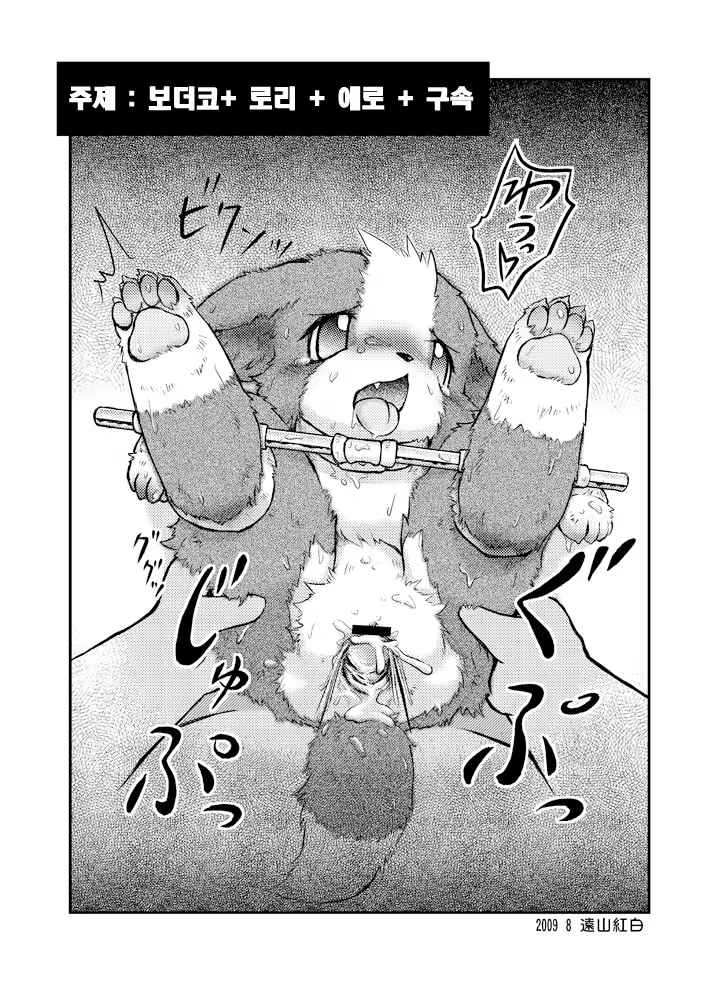 Content 656261 - 12 페이지