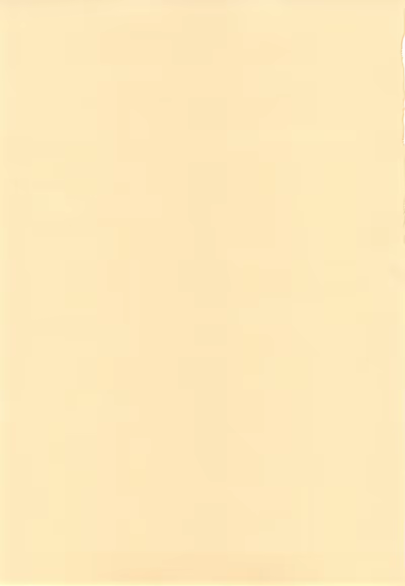 Content 663561 - 3 페이지