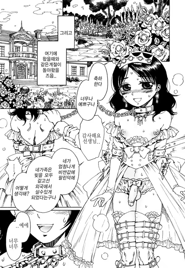 Content 664639 - 11 페이지