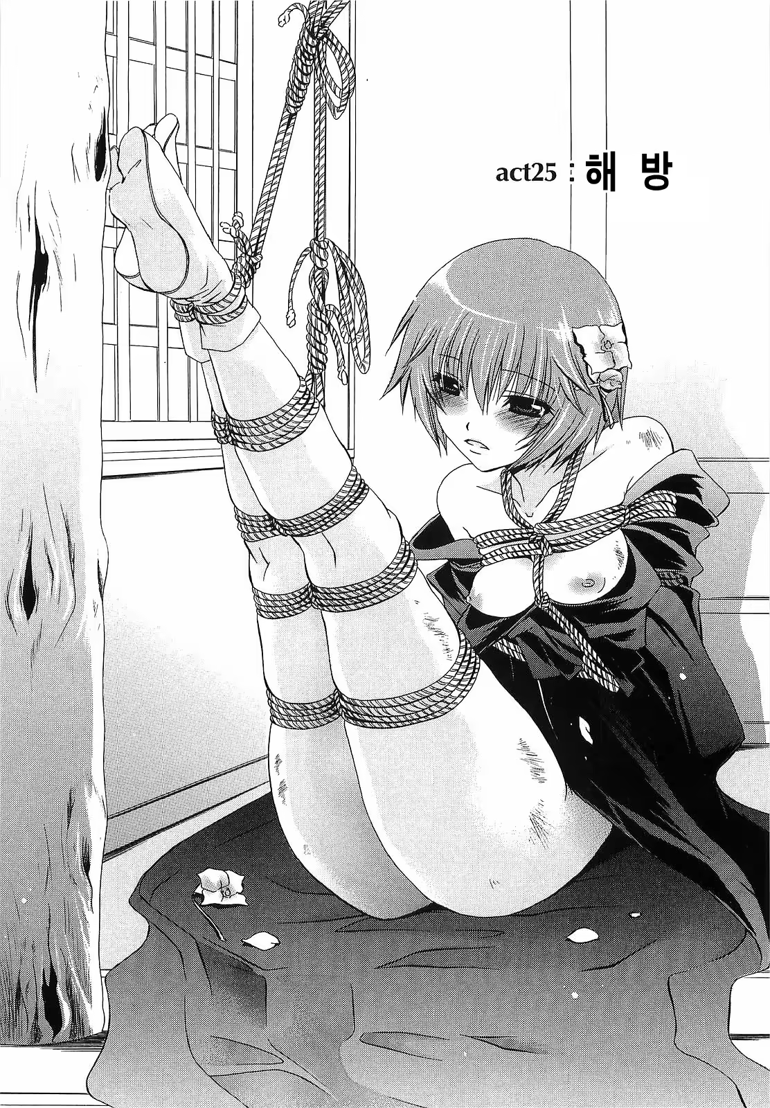 Content 668618 - 134 페이지