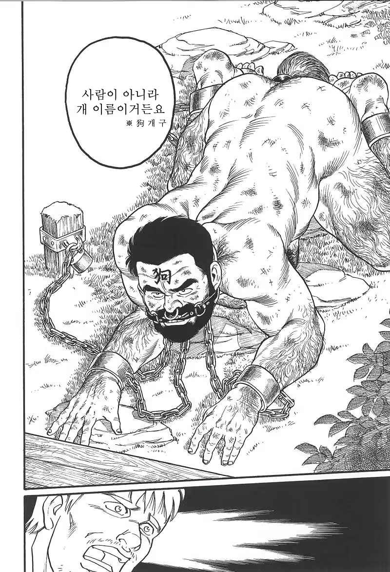 Content 671249 - 166 페이지