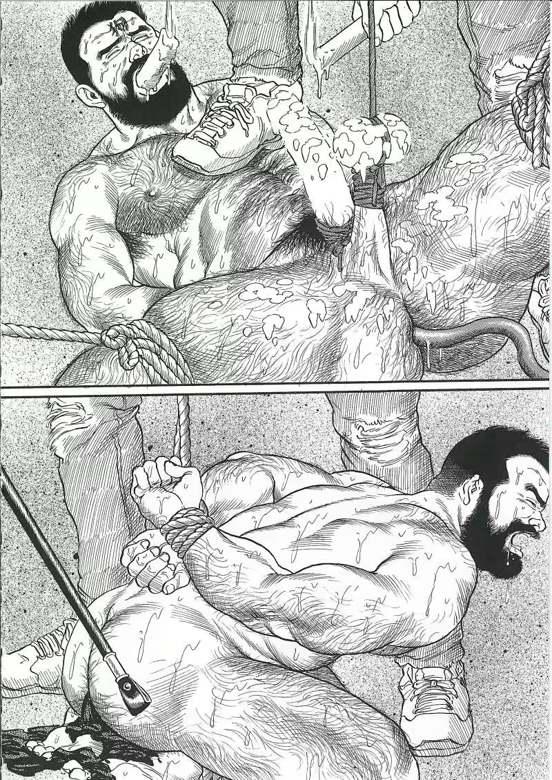 Content 671249 - 266 페이지