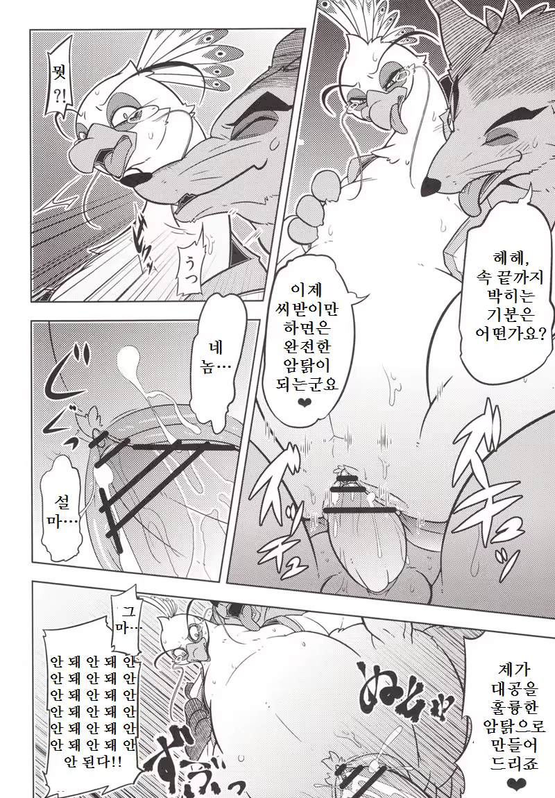 Content 673892 - 12 페이지