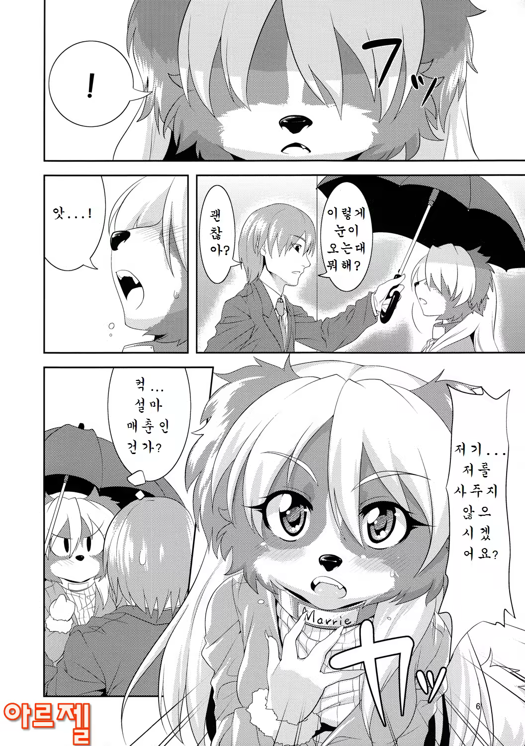 Content 674852 - 5 페이지
