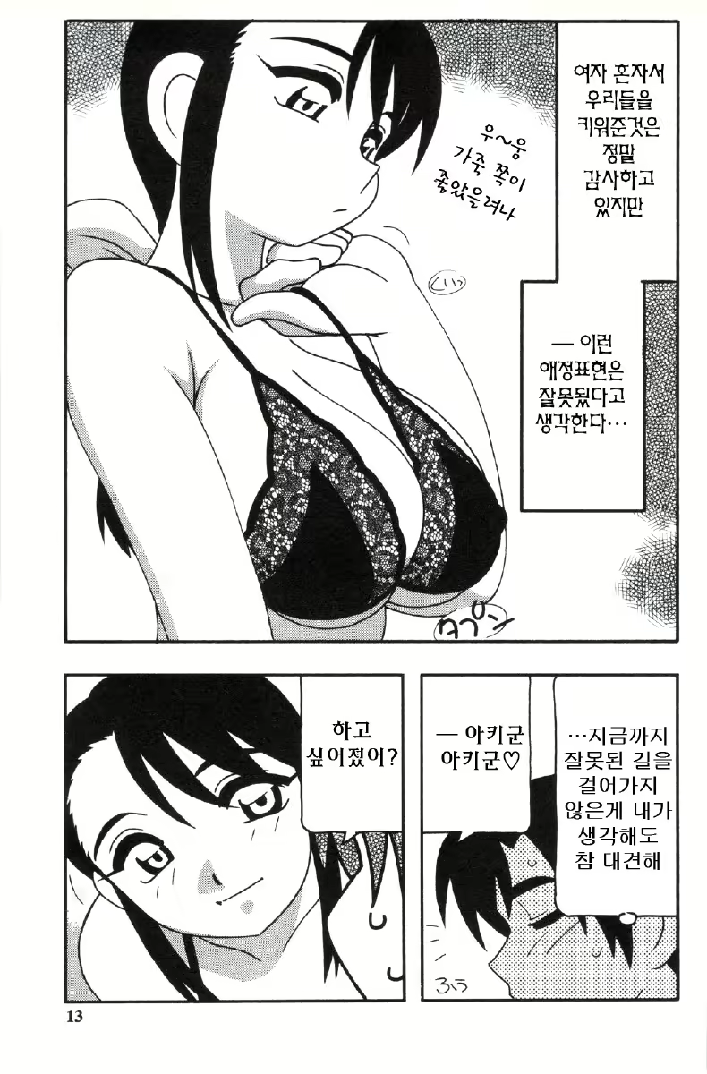 Content 680068 - 13 페이지