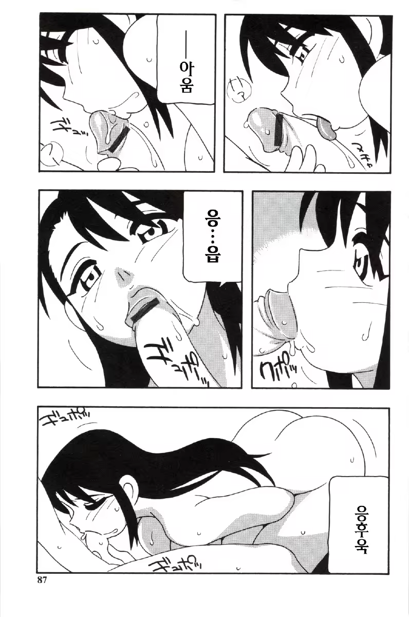 Content 680068 - 87 페이지