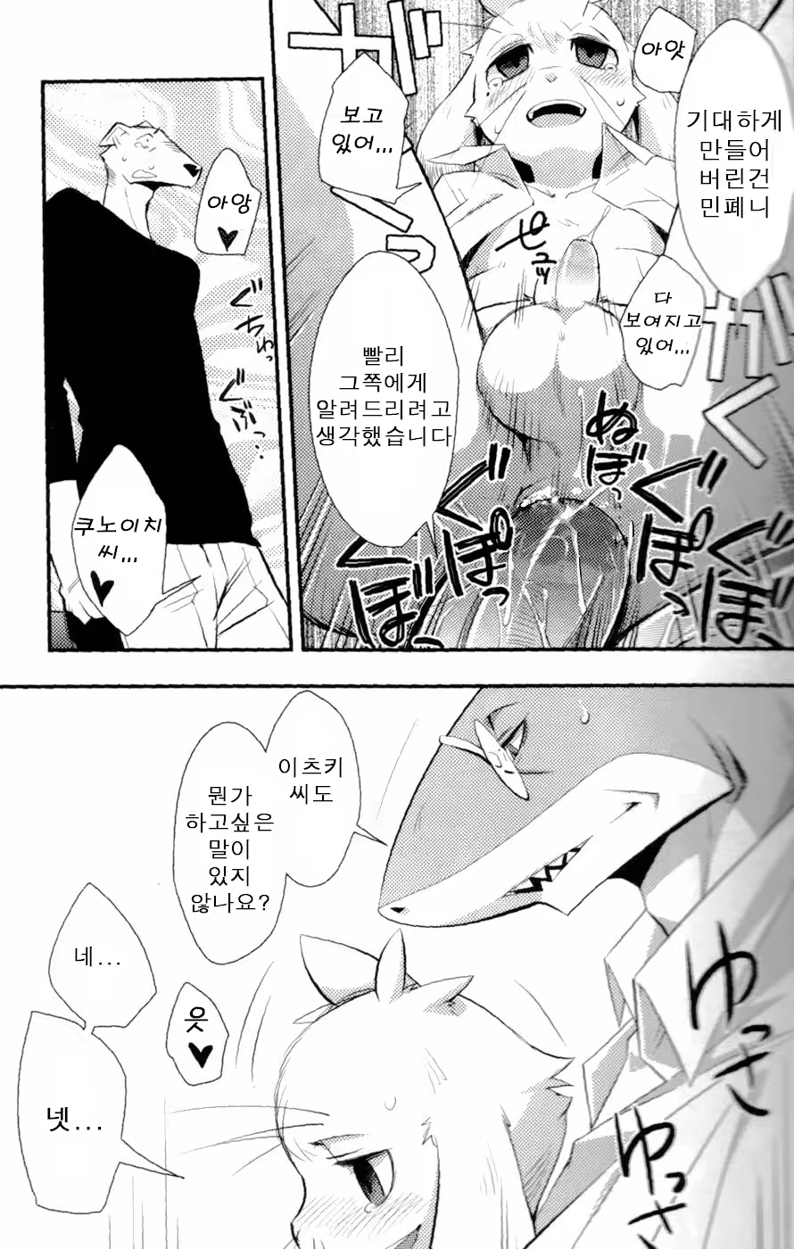 Content 681992 - 19 페이지
