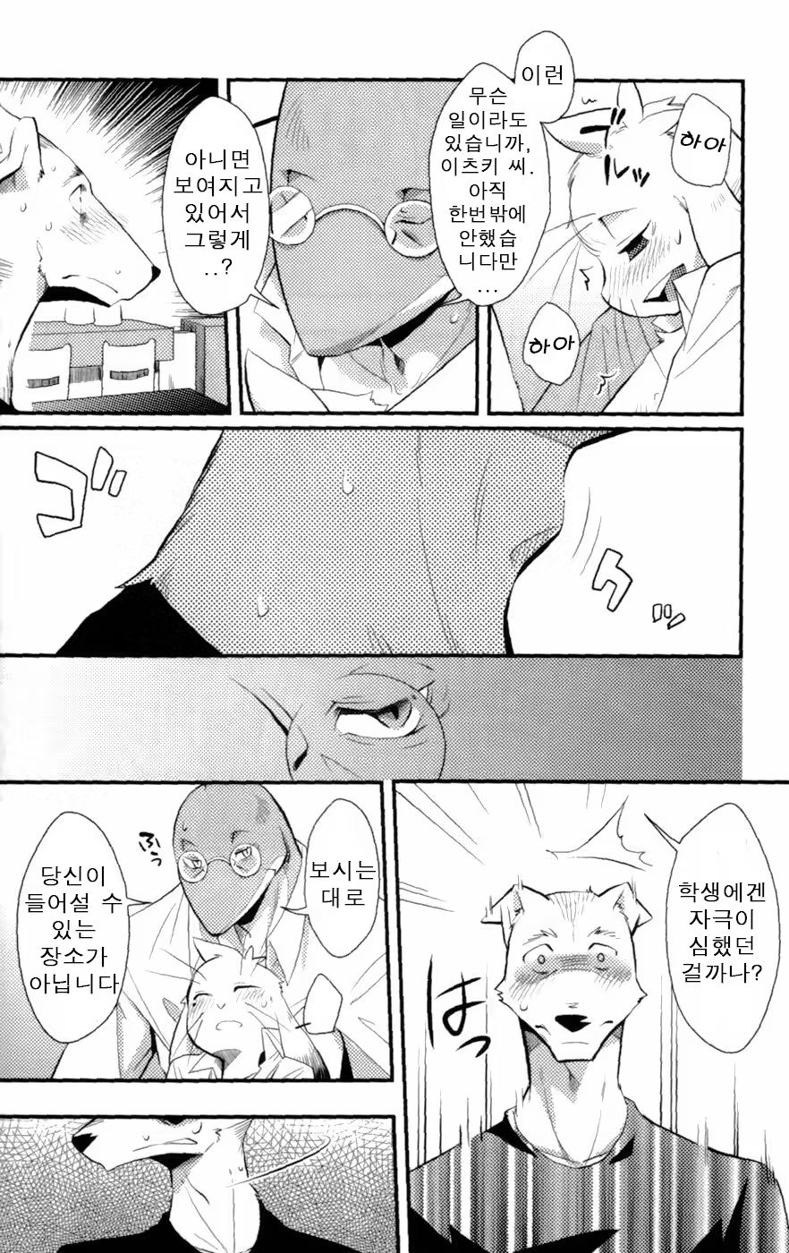 Content 681992 - 22 페이지