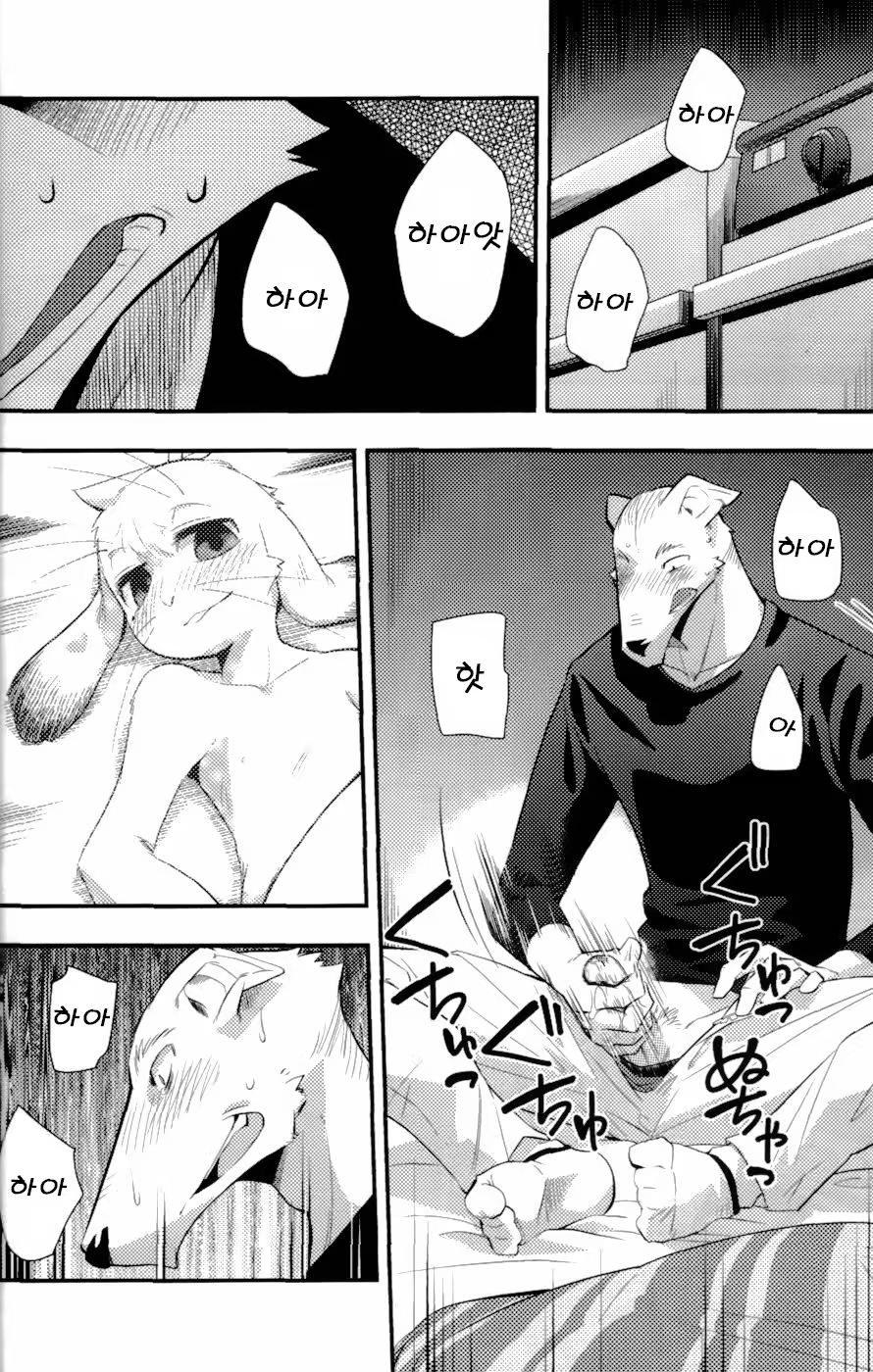 Content 681992 - 26 페이지
