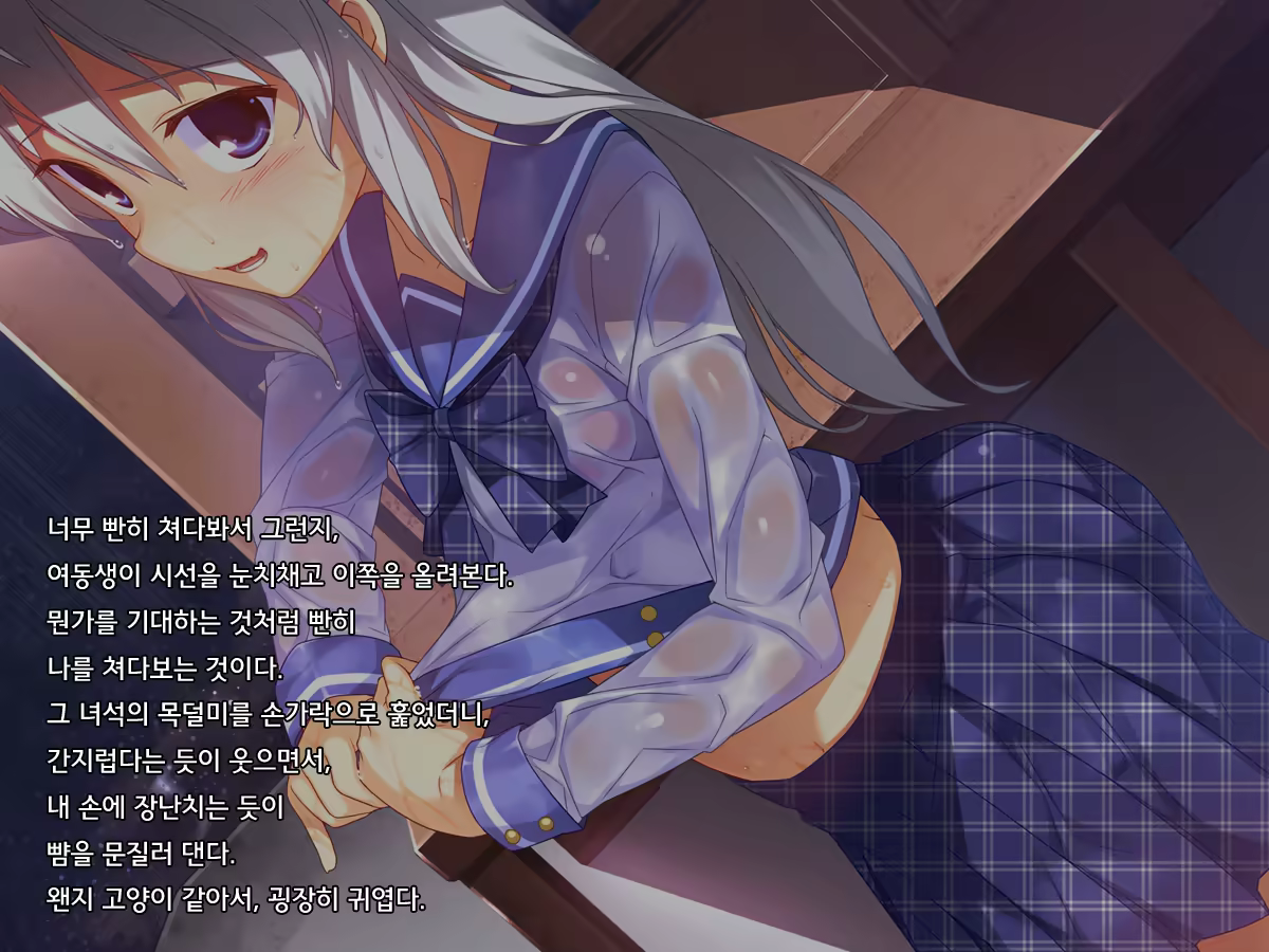 Content 684439 - 22 페이지