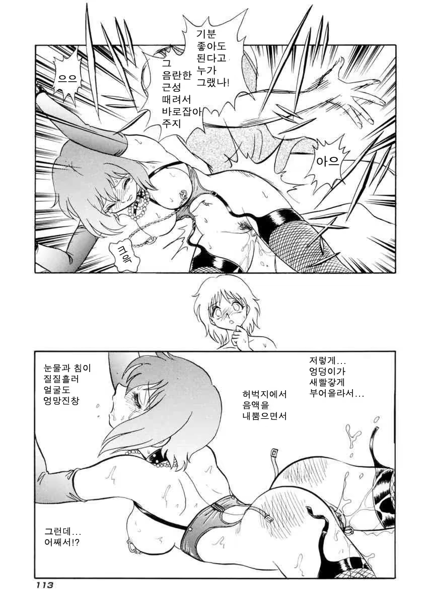 Content 684493 - 116 페이지