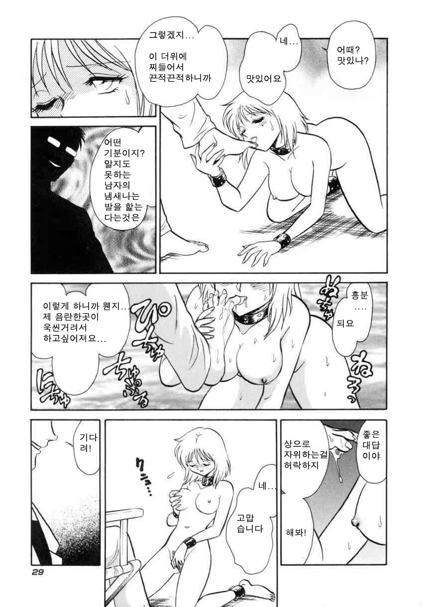 Content 684493 - 32 페이지
