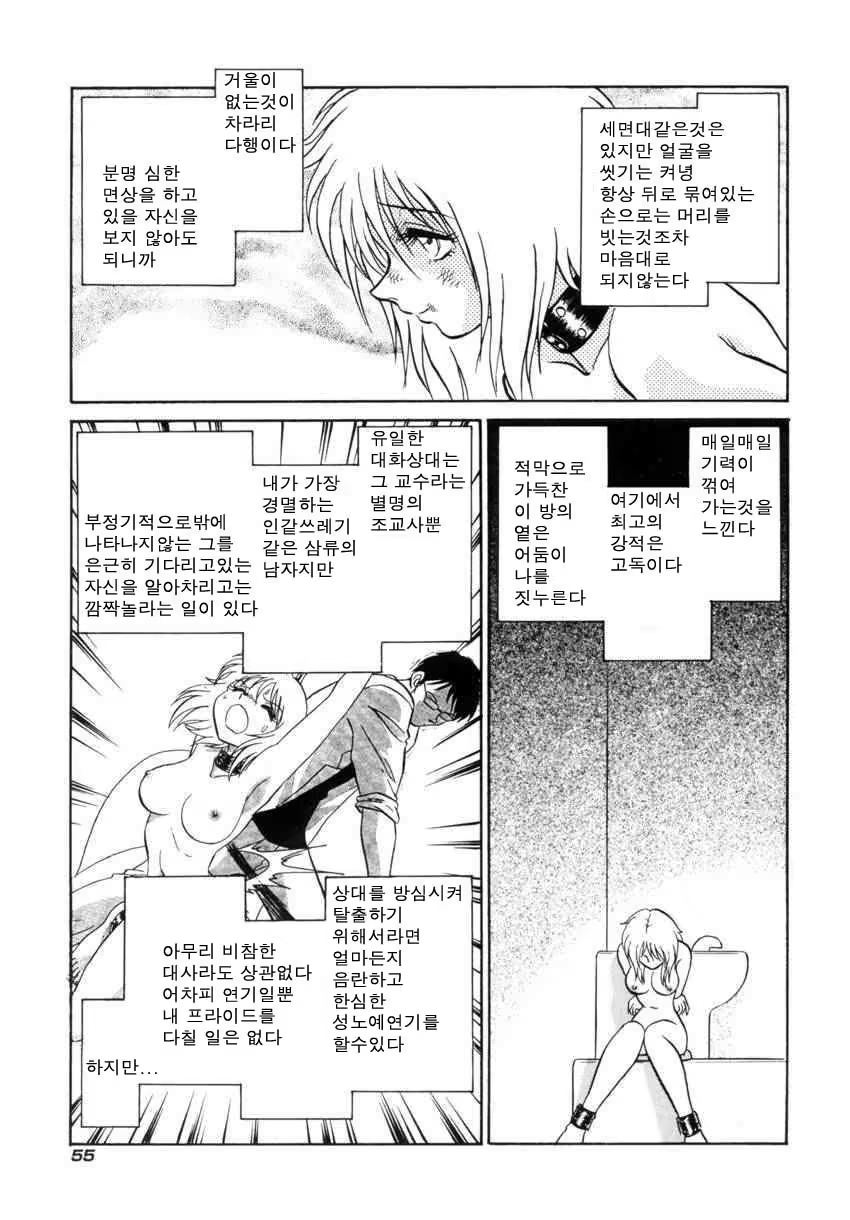 Content 684493 - 58 페이지