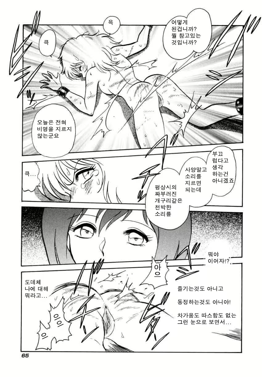 Content 684493 - 68 페이지