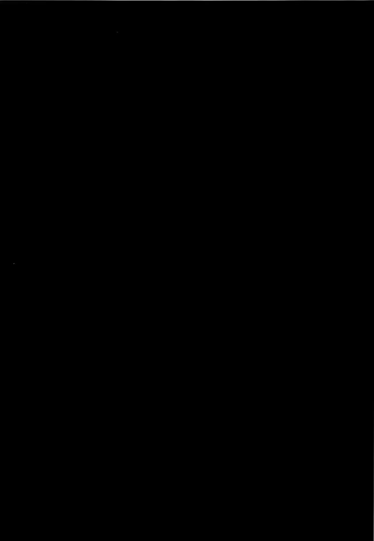Content 687117 - 4 페이지
