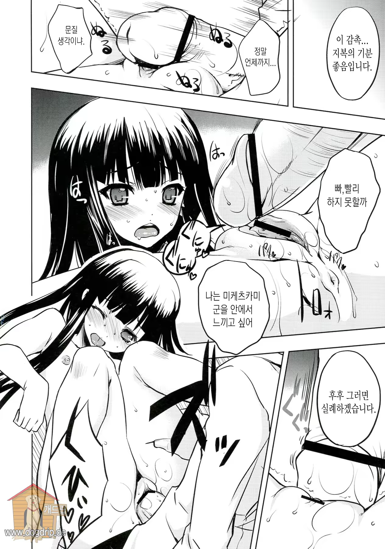 Content 690542 - 12 페이지