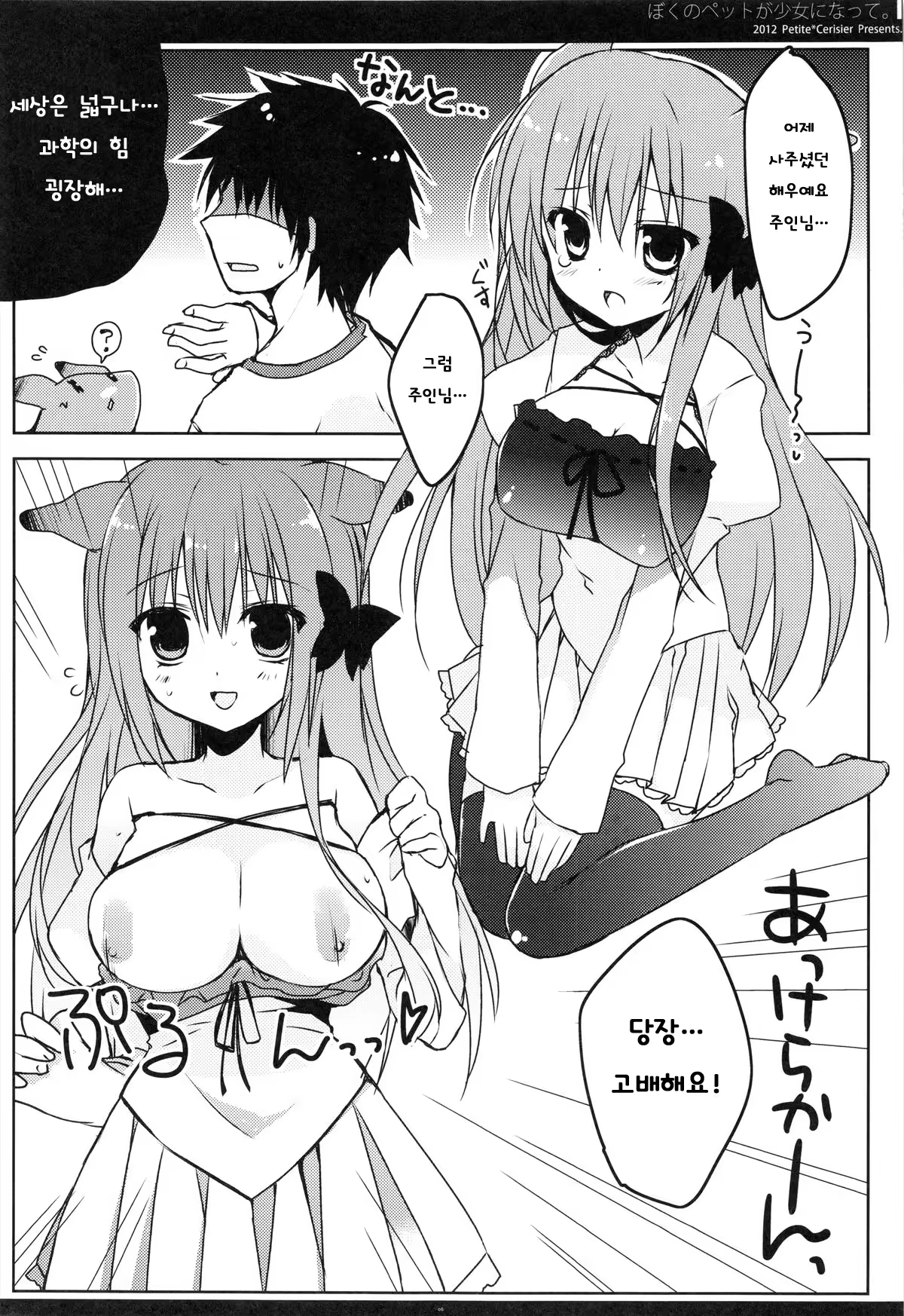Content 706594 - 6 페이지