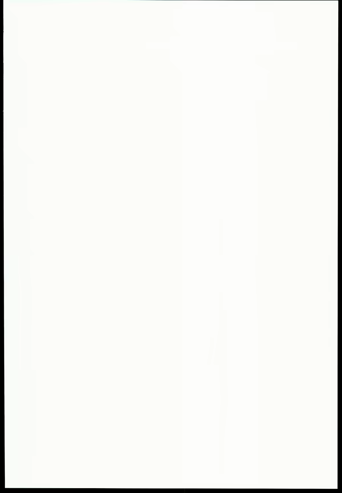 Content 713481 - 2 페이지