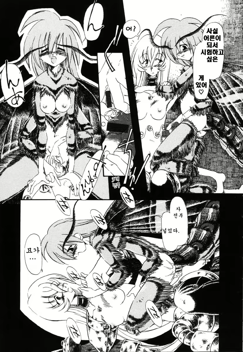 Content 721717 - 90 페이지