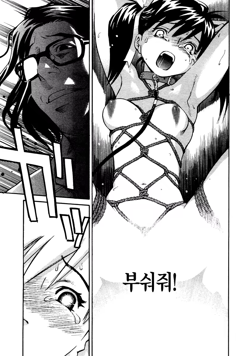 Content 728072 - 13 페이지