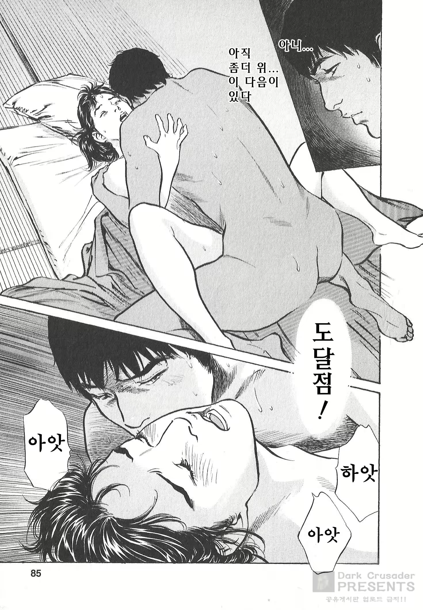 Content 728544 - 80 페이지