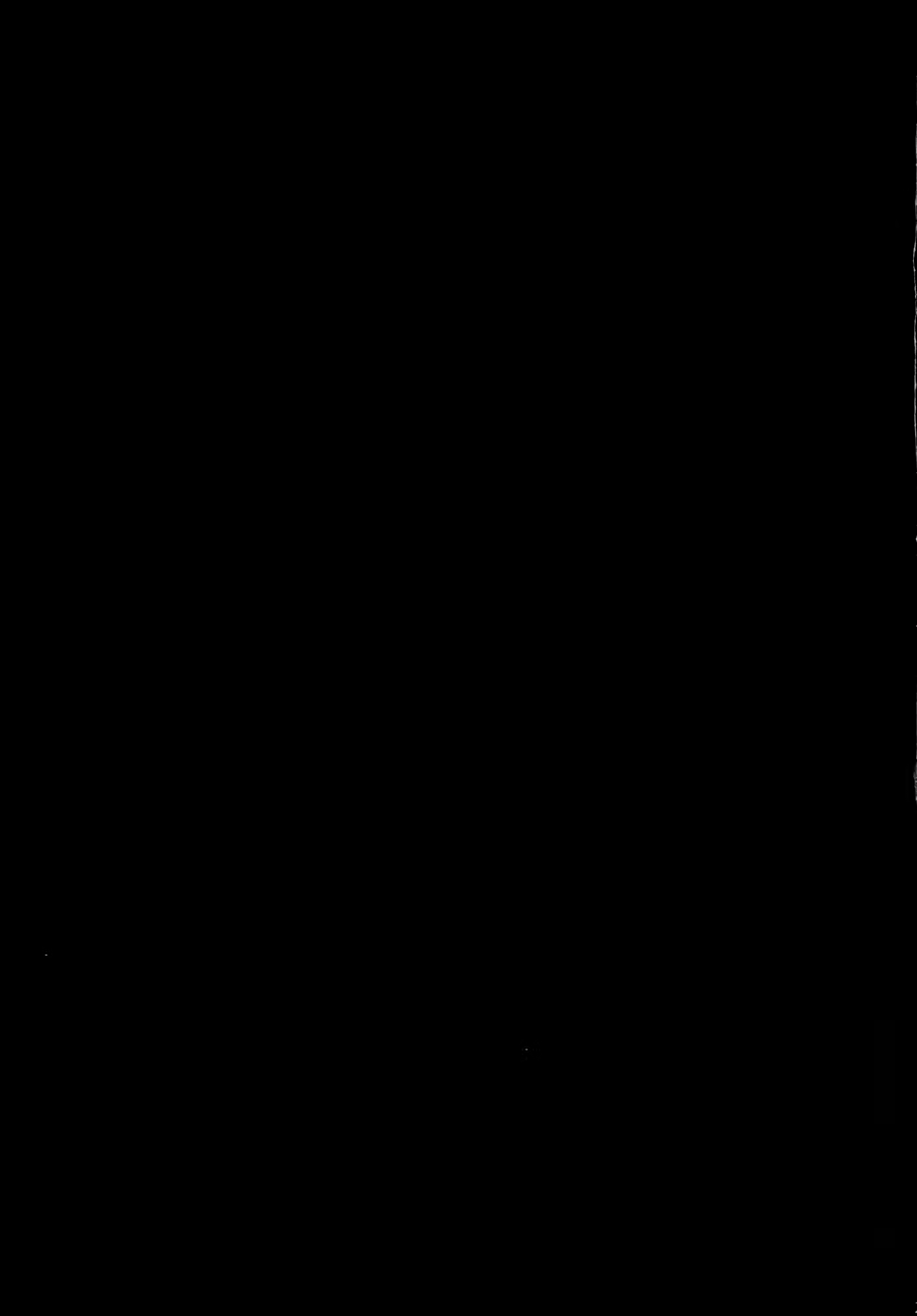 Content 731000 - 24 페이지