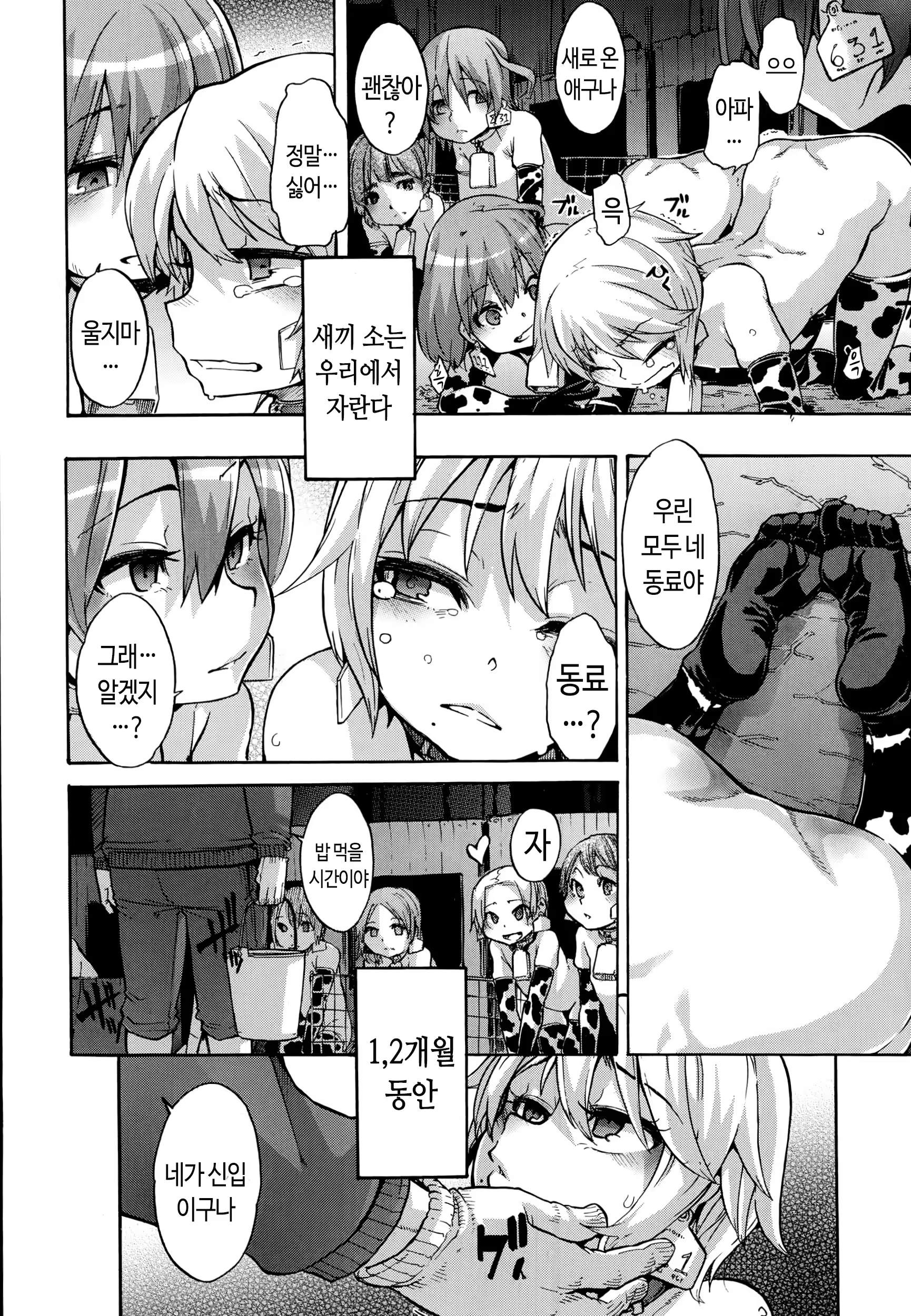 Content 743229 - 6 페이지