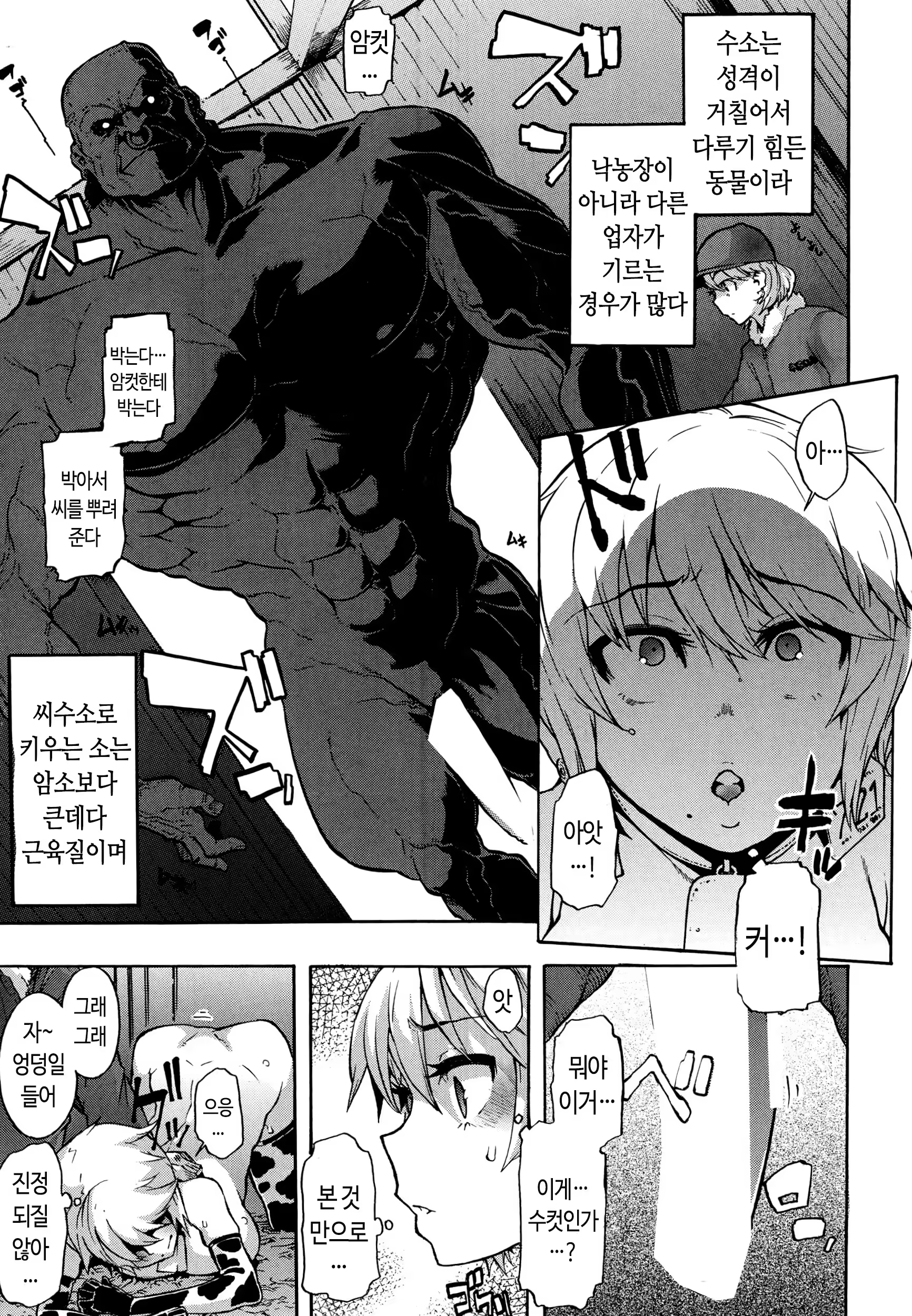 Content 743229 - 9 페이지