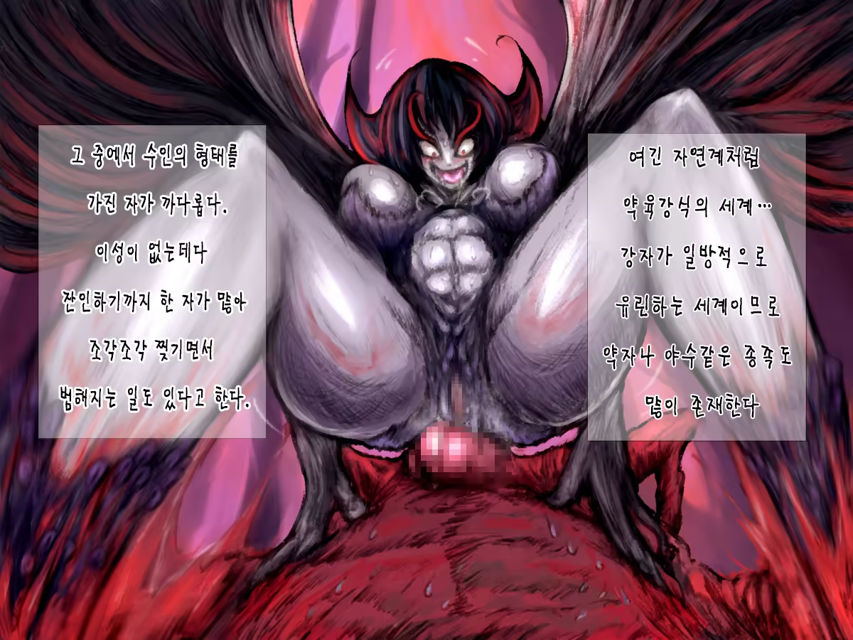 Content 758341 - 14 페이지