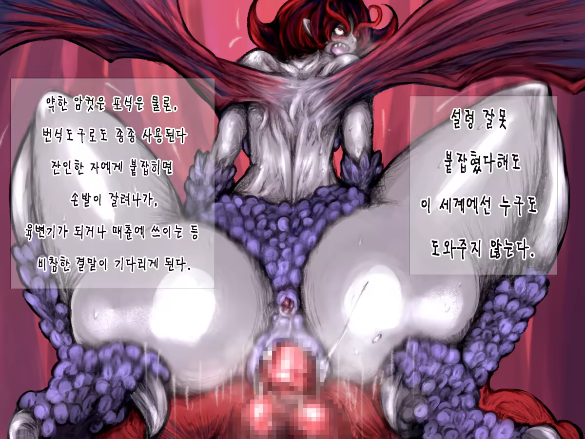 Content 758341 - 20 페이지