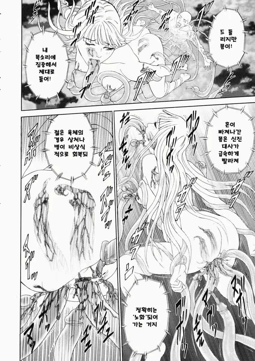 Content 761335 - 179 페이지
