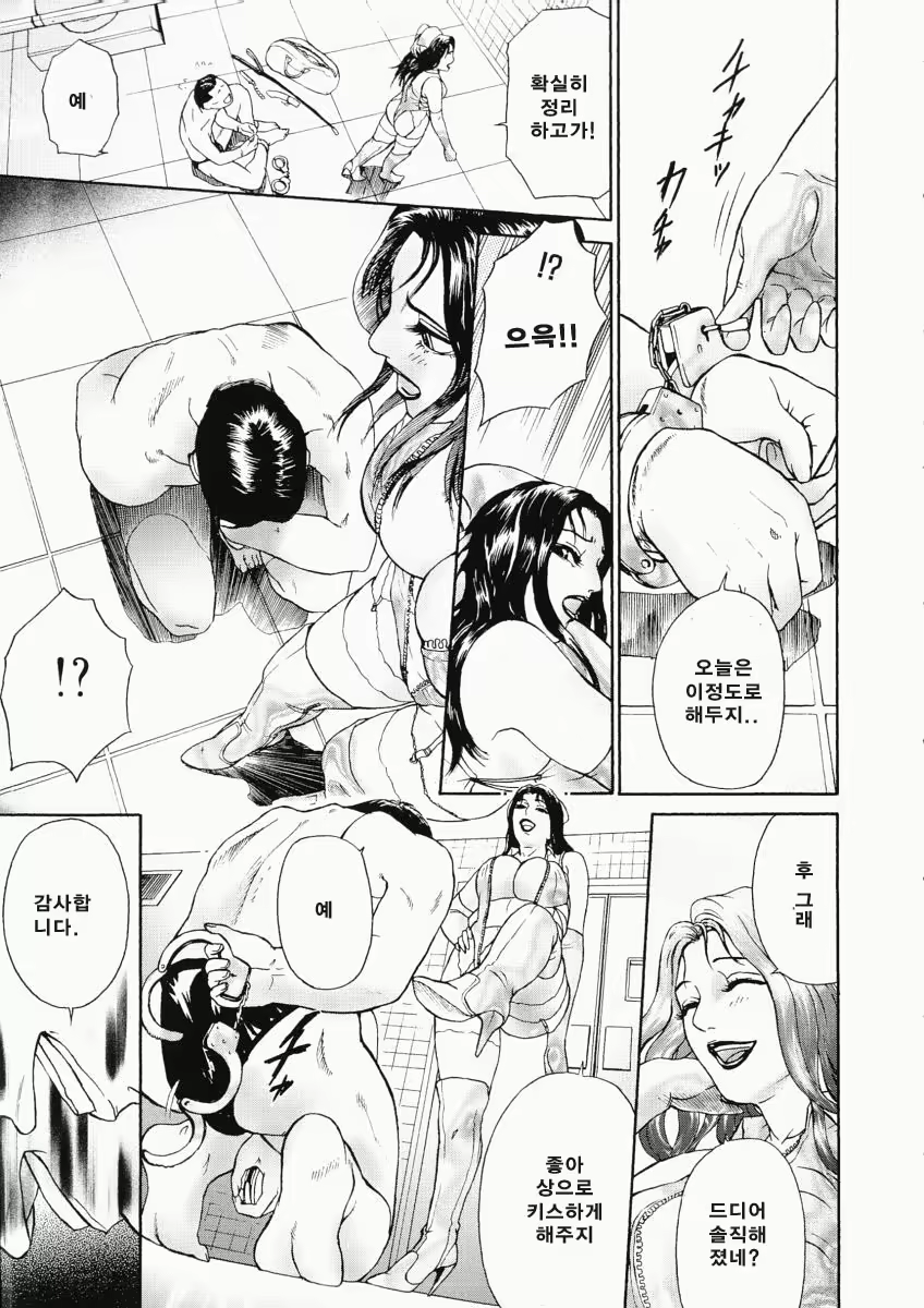 Content 761335 - 254 페이지