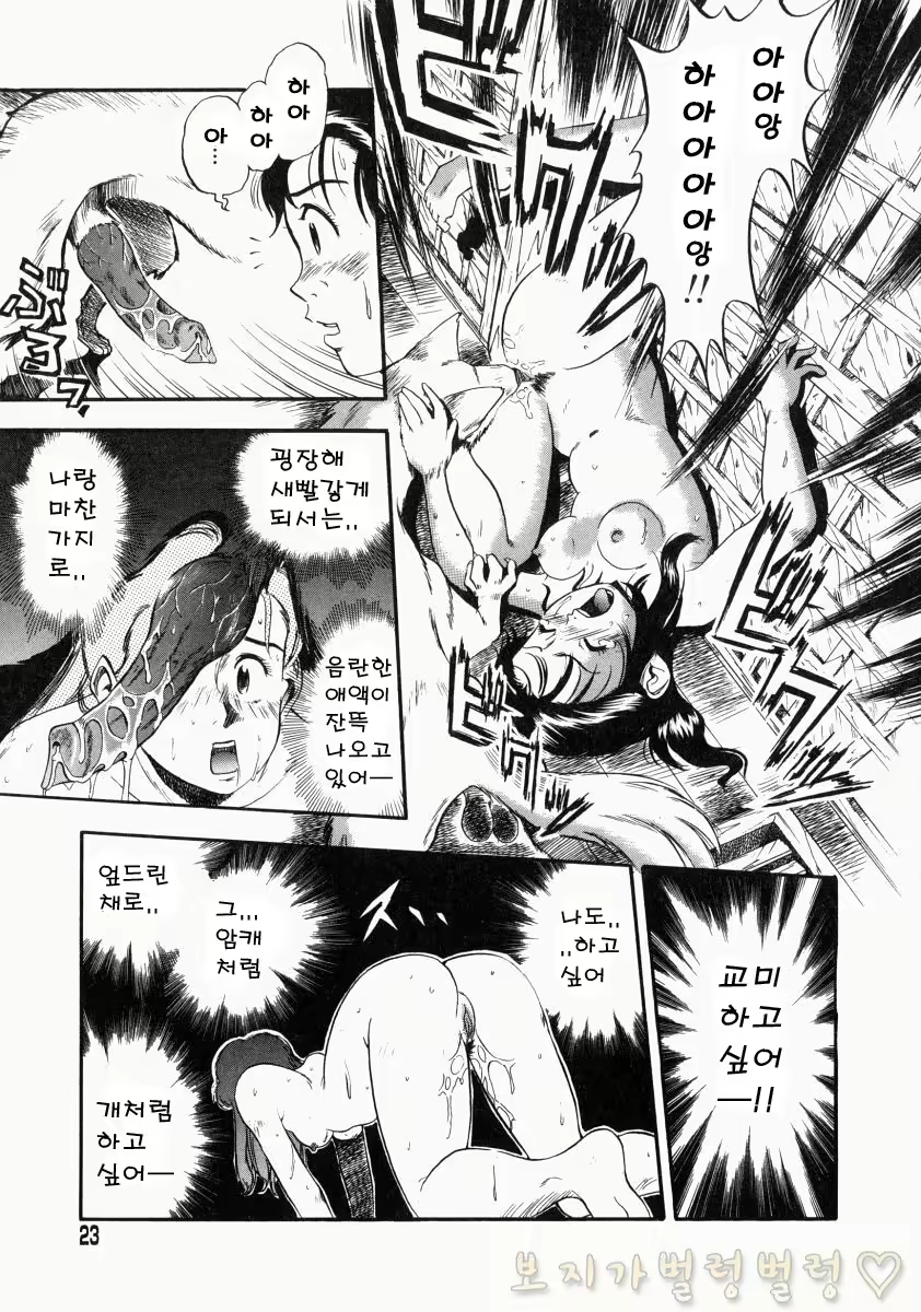Content 763789 - 20 페이지