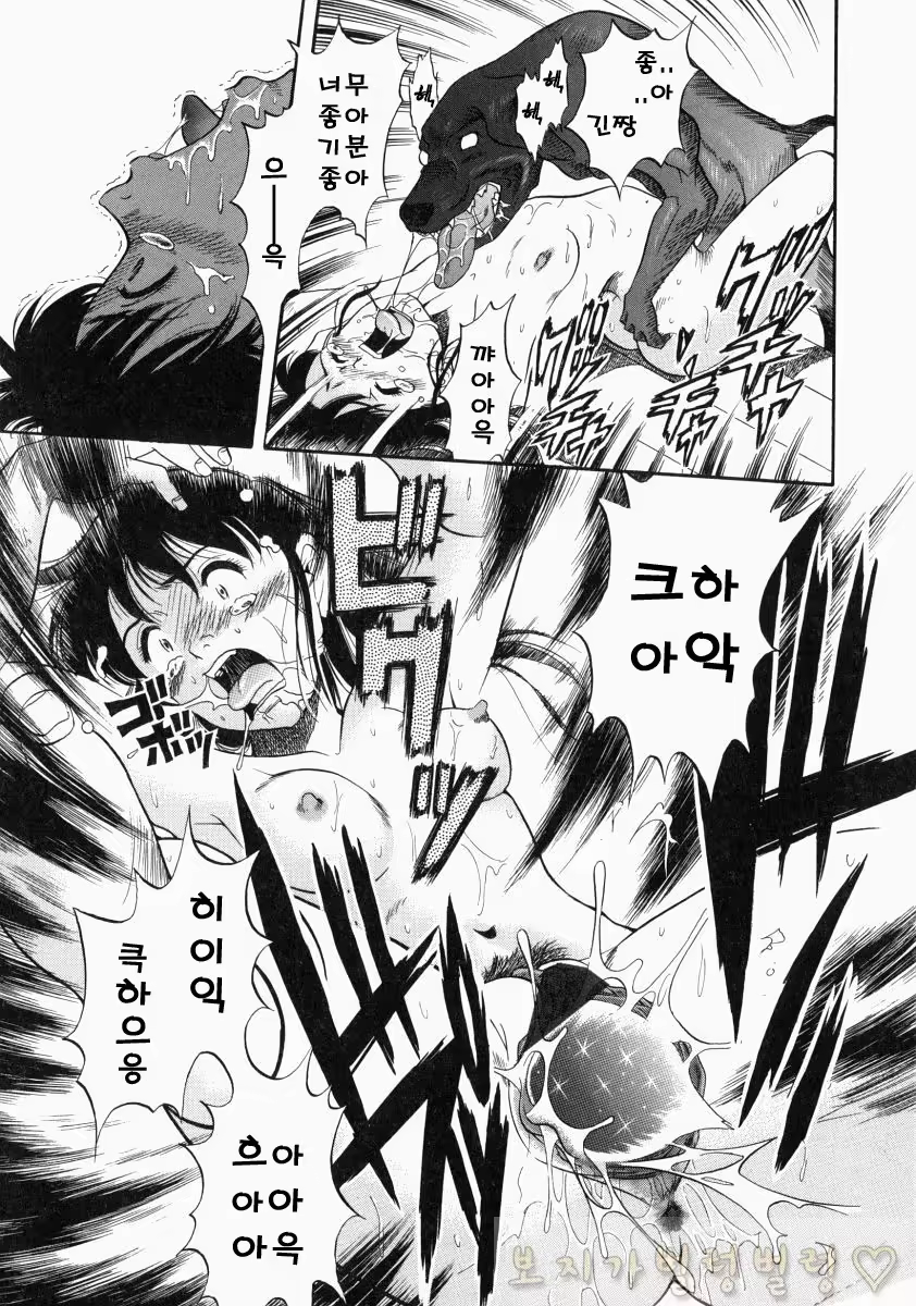 Content 763789 - 267 페이지