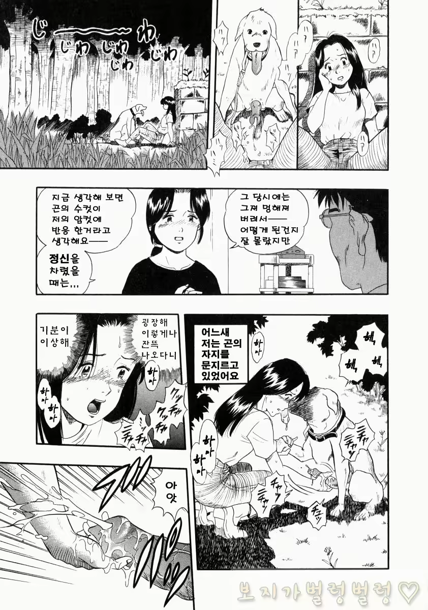 Content 763789 - 289 페이지