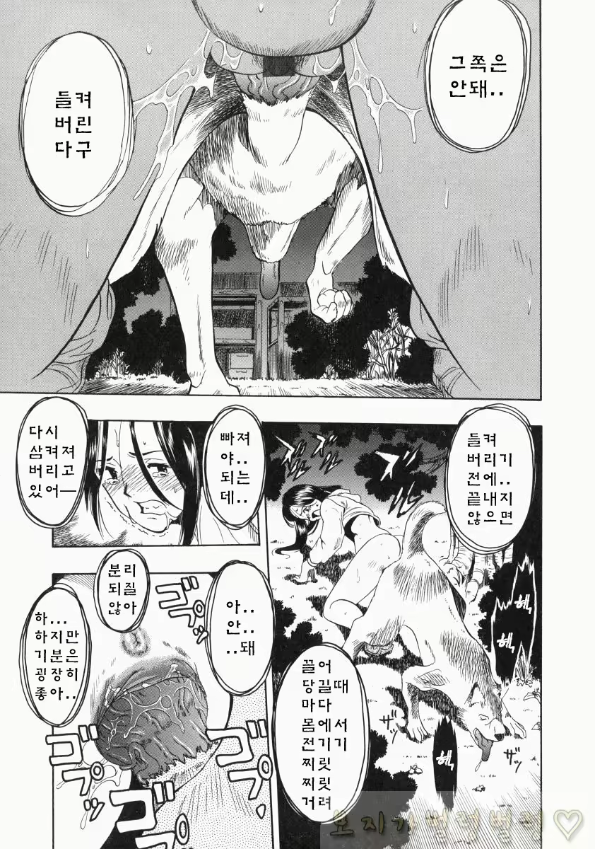 Content 763789 - 311 페이지