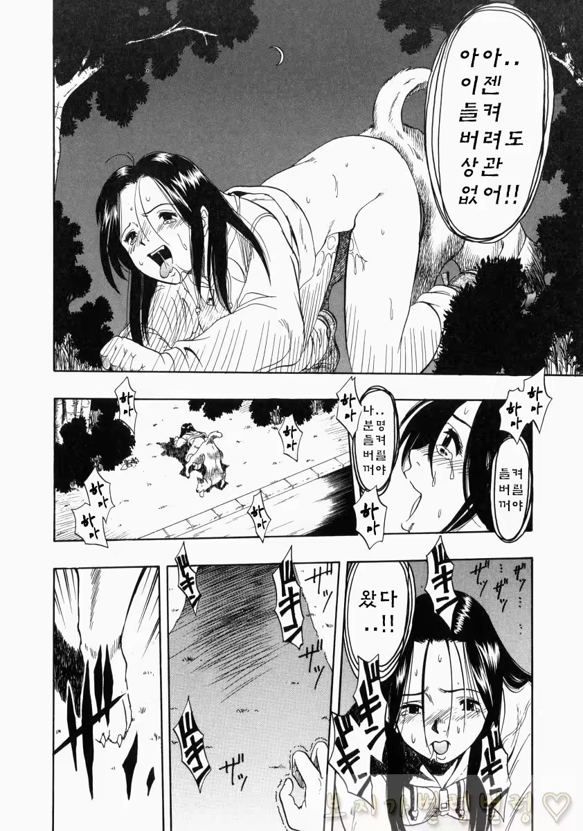 Content 763789 - 312 페이지