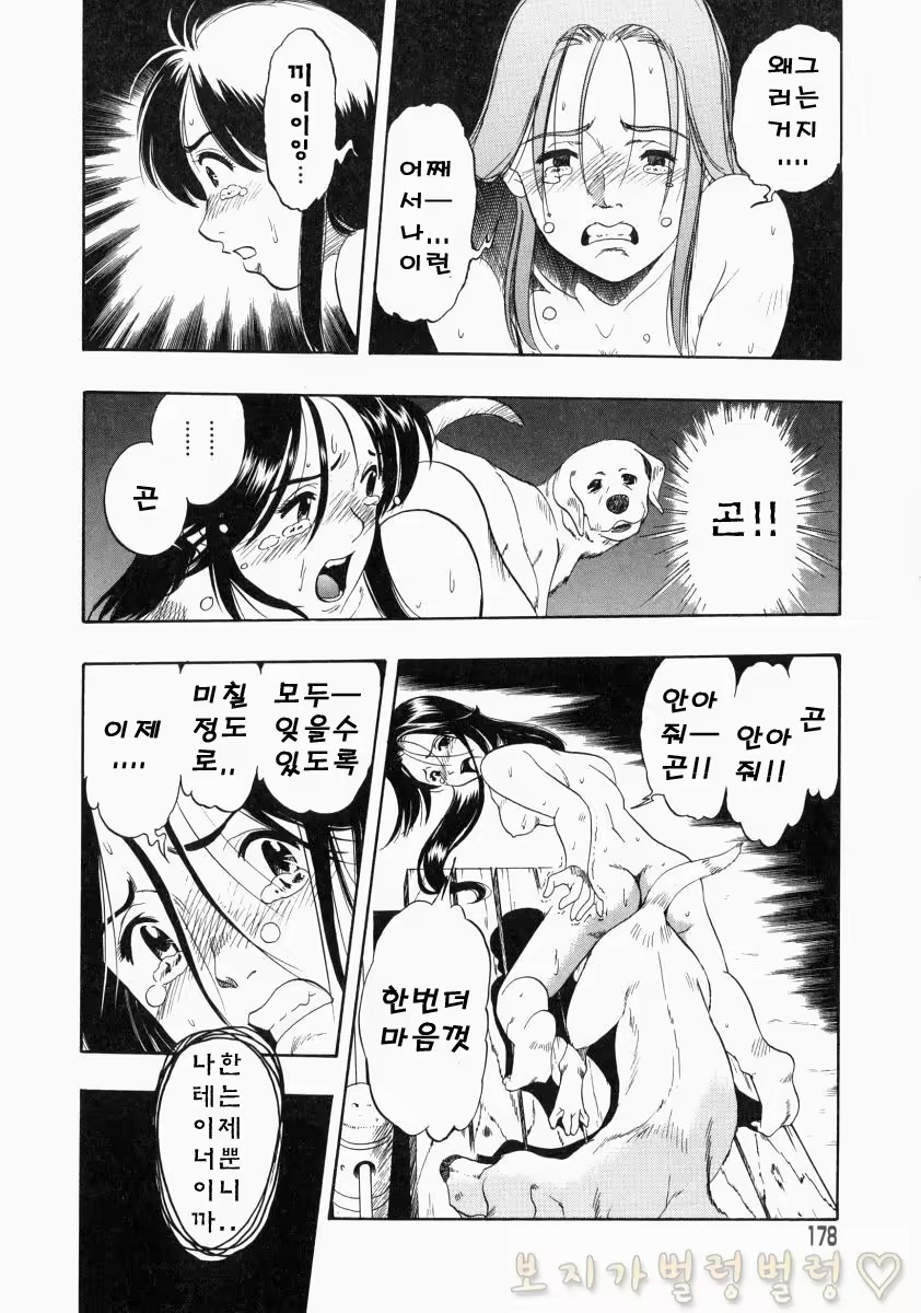 Content 763789 - 328 페이지