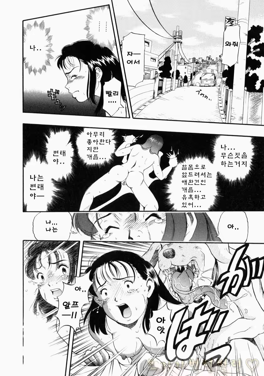 Content 763789 - 41 페이지