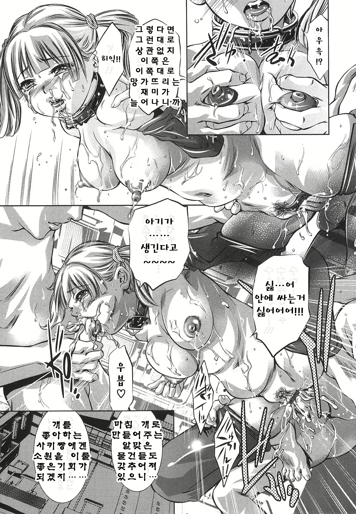 Content 767995 - 12 페이지