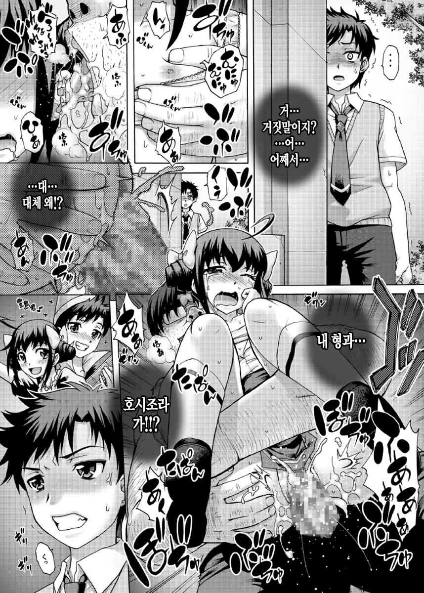 Content 769659 - 3 페이지