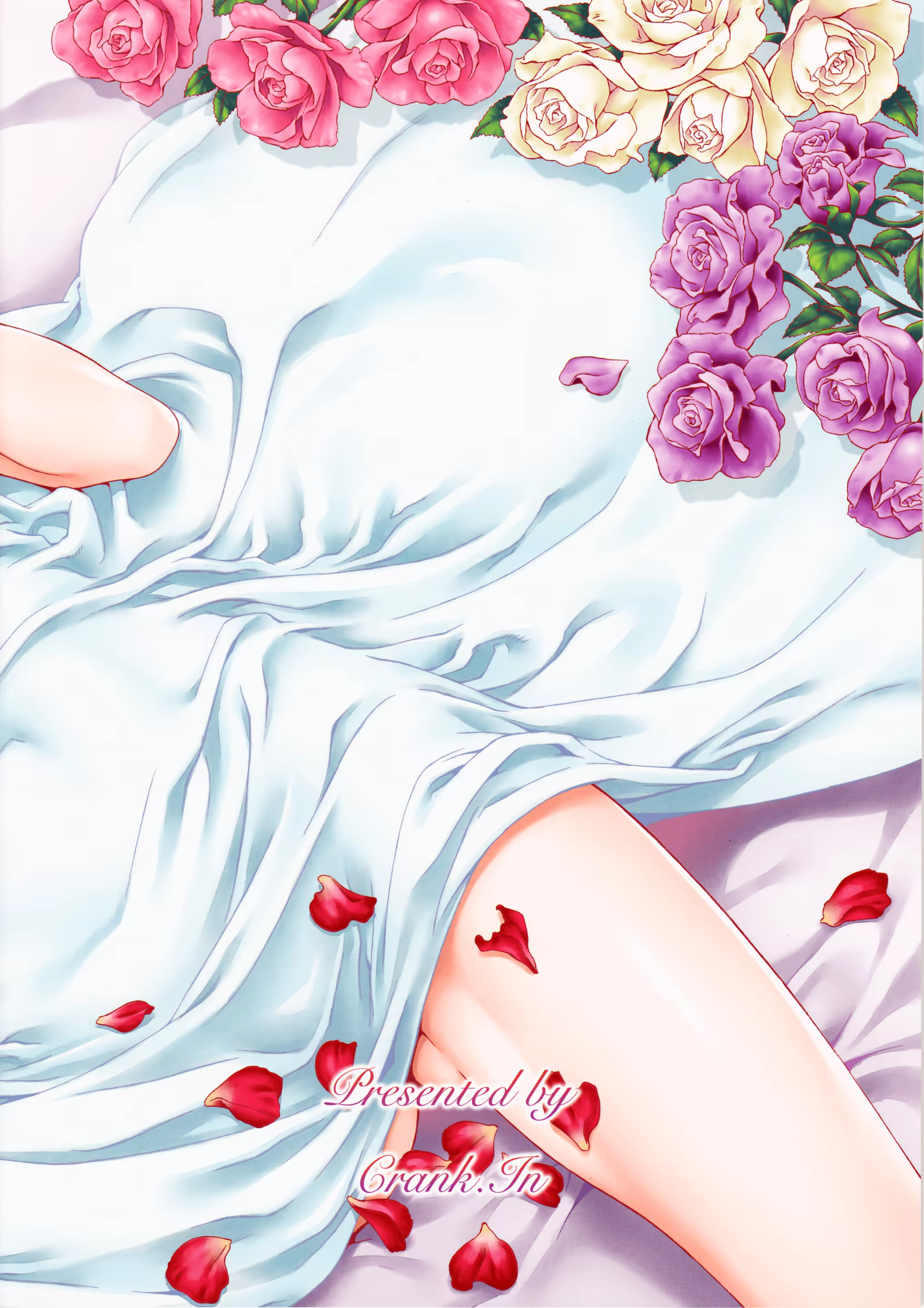 Content 773517 - 29 페이지