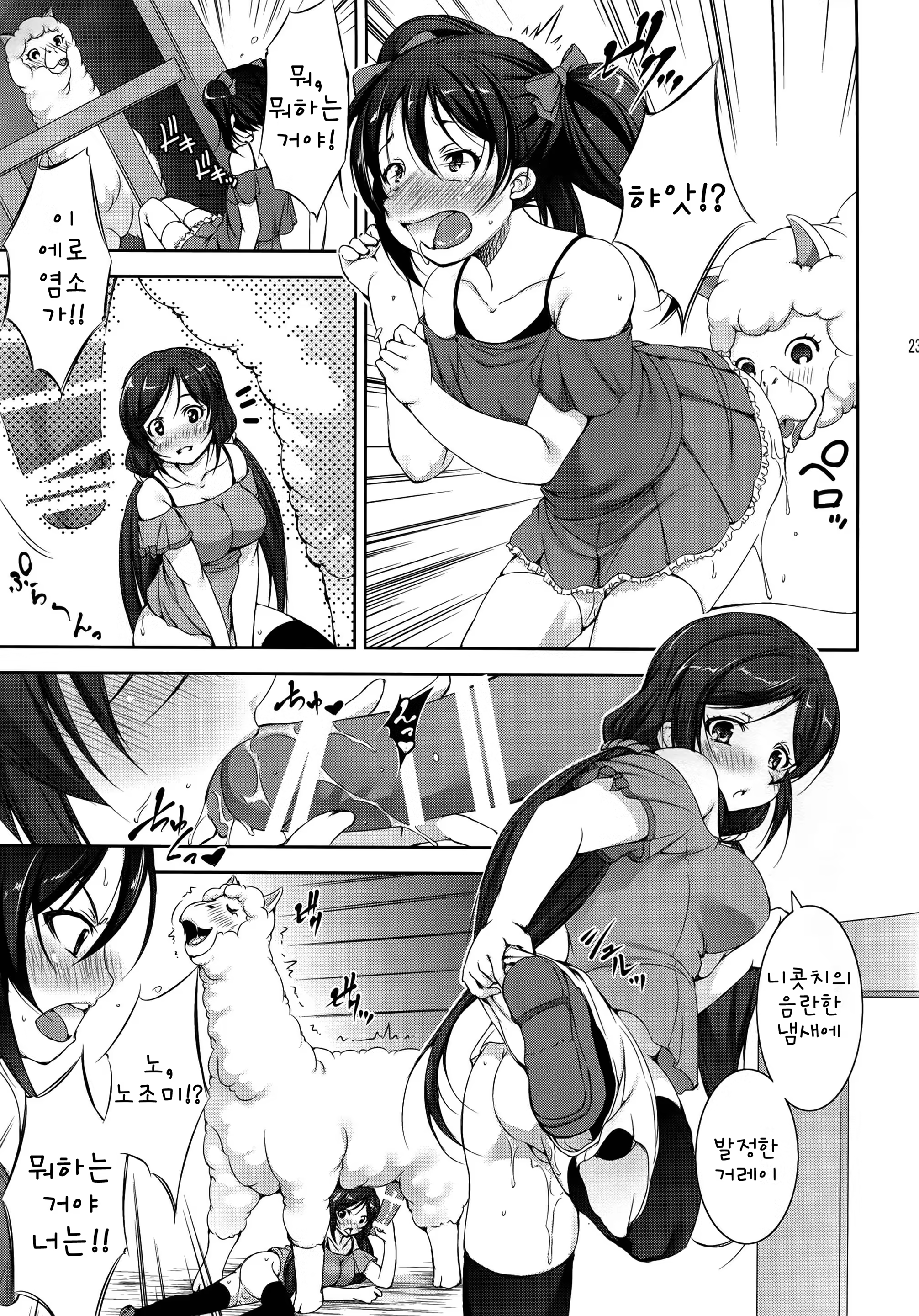 Content 781121 - 22 페이지