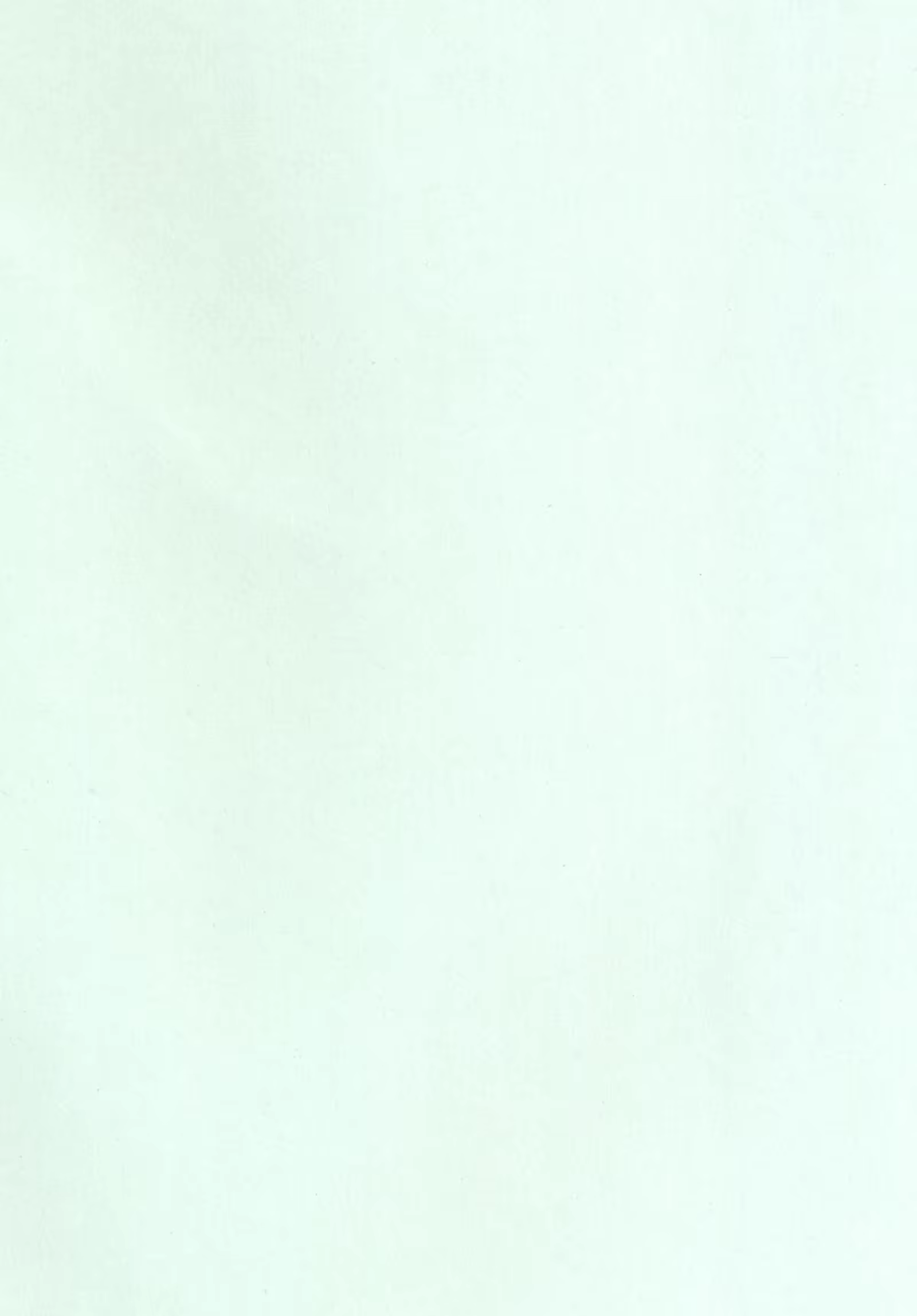 Content 790626 - 3 페이지