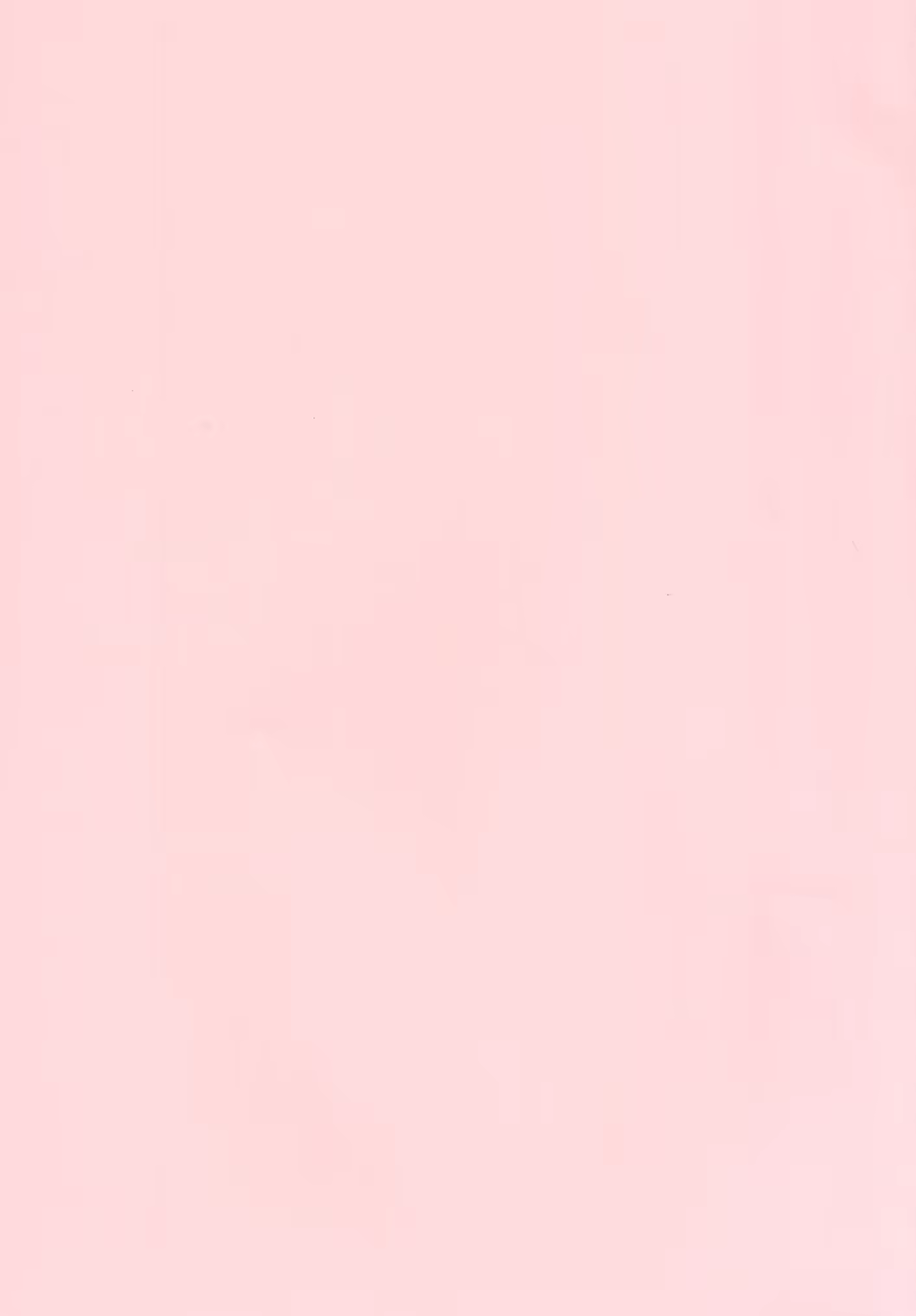 Content 793614 - 2 페이지