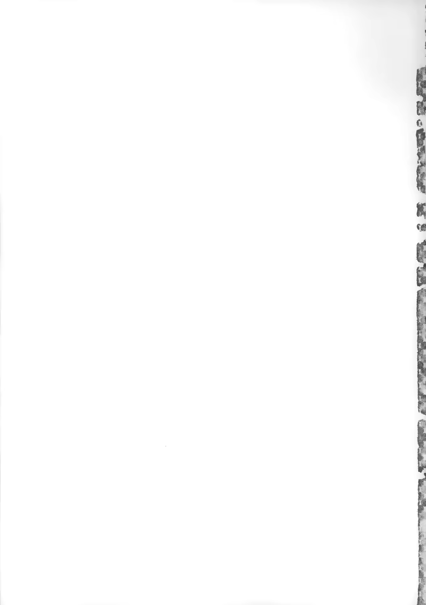 Content 801010 - 207 페이지